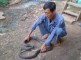 Nghề nuôi rắn ở Vĩnh Sơn - Vĩnh Tường