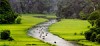 Về Tam Cốc (Ninh Bình) ngắm vẻ đẹp của bông lúa Việt